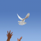 Thumbnail image for Coping Strategies