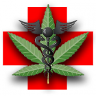 Thumbnail image for Marijuana – Interesting Facts