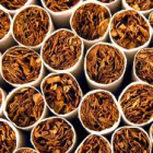 Thumbnail image for Tobacco Myths & Facts