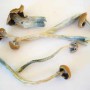 Hallucinogens